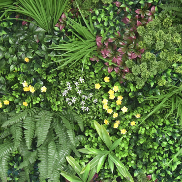 Kunsthaag Ava Wonder 100x100 cm