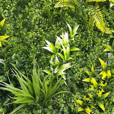 Kunsthaag Botanic A 100x100 cm