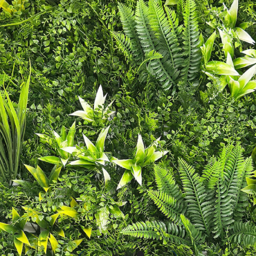 Kunsthaag Botanic C 100x100 cm