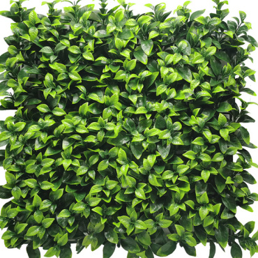 Kunsthaag Fresh Light green 100x100 cm