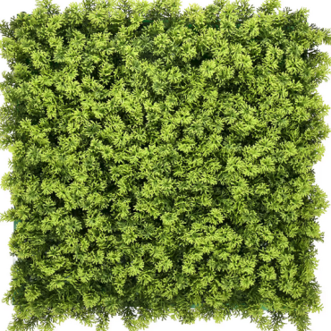 Kunsthaag Marie Moss 100x100 cm