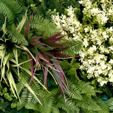 Kunsthaag Ruby C 100x100 cm