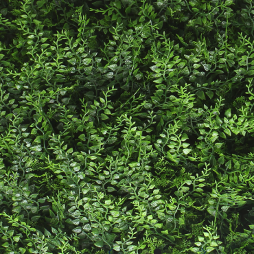 Kunsthaag Tess Varens 100x100 cm