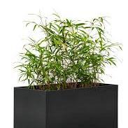 Bloembak Mohawk | zwart gepoedercoat staal 60x120x60 cm