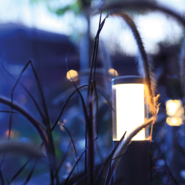 Liv Low Rose Silver-12v/2w