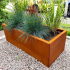 Cortenstaal plantenbak Rechthoek 50x120 H=30 cm MET bodemplaat