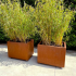 Cortenstaal plantenbak Rechthoek 60x80 H=30 cm MET bodemplaat + 4 wielen