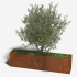 Cortenstaal plantenbak Rechthoek XL 160x30 H=30 cm ZONDER bodemplaat