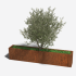 Cortenstaal plantenbak Rechthoek XL 200x30 H=30 cm MET bodemplaat
