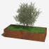 Cortenstaal plantenbak Rechthoek XL 200x80 H=30 cm ZONDER bodemplaat