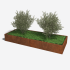 Cortenstaal plantenbak Rechthoek XL 320x120 H=30 cm ZONDER bodemplaat