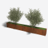 Cortenstaal plantenbak Rechthoek XL 320x30 H=30 cm MET bodemplaat