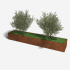 Cortenstaal plantenbak Rechthoek XL 320x60 H=30 cm ZONDER bodemplaat
