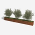 Cortenstaal plantenbak Rechthoek XL 400x40 H=30 cm ZONDER bodemplaat