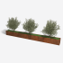 Cortenstaal plantenbak Rechthoek XL 480x50 H=30 cm MET bodemplaat