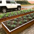 Cortenstaal plantenbak Rechthoek XL 500x80 H=30 cm ZONDER bodemplaat