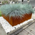 Cortenstaal plantenbak Vierkant 80x80 H=30 cm MET bodemplaat