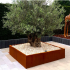 Cortenstaal plantenbak Vierkant XL 160x160 cm H=30 cm ZONDER bodemplaat