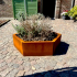 Cortenstaal plantenbak Zeshoek 69.3x79.3 cm H=30 cm ZONDER bodemplaat