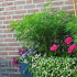Gepoedercoat staal plantenbak Rechthoek 30x40 H=30 cm - Andere RALkleur - MET bodemplaat