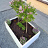 Gepoedercoat staal plantenbak Rechthoek 80x100 H=30 cm - Wit (RAL9010) MET bodemplaat