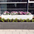 Gepoedercoat staal plantenbak Rechthoek XL 200x60 H=30 cm - Wit (RAL9010) MET bodemplaat