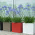 Gepoedercoat staal plantenbak Rechthoek XL 240x50 H=30 cm - Andere RALkleur - ZONDER bodemplaat