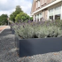 Gepoedercoat staal plantenbak Rechthoek XL 480x120 H=30 cm - Antraciet (RAL7016) MET bodemplaat
