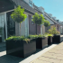 Gepoedercoat staal plantenbak Rechthoek XL 500x50 H=30 cm - Zwart (RAL9005) ZONDER bodemplaat