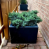 Gepoedercoat staal plantenbak Vierkant 40x40 H=30 cm MET bodemplaat + voeten - Zwart (RAL9005)