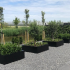 Gepoedercoat staal plantenbak Vierkant XL 200 H=100 cm - Zwart (RAL9005) ZONDER bodemplaat