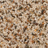 WS StoneBinder Sea Shell