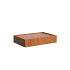 Vijver Corten 3000 x 2000 x 600 mm