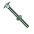 Slotbout DIN 603 M10x220mm met zeskantmoer DIN 555