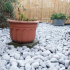 CARRARA ROND 60-100MM 20KG