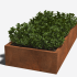 Cortenstaal gelaste plantenbak Rechthoek 200x100x40 ZONDER bodemplaat