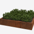 Cortenstaal gelaste plantenbak Vierkant 200x200x40 ZONDER bodemplaat