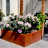 Cortenstaal plantenbak Rechthoek 60x120 H=30 cm MET bodemplaat