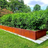 Cortenstaal plantenbak Rechthoek XL 300x40 H=60 cm MET bodemplaat