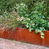 Cortenstaal plantenbak Rechthoek XL 320x100 H=60 cm ZONDER bodemplaat