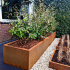 Cortenstaal plantenbak Rechthoek XL 320x40 H=60 cm MET bodemplaat