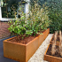 Cortenstaal plantenbak Rechthoek XL 320x50 H=60 cm ZONDER bodemplaat