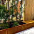 Cortenstaal plantenbak Rechthoek XL 500x60 H=80 cm MET bodemplaat