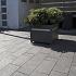 SMARTTON NATURE WAVE WVB 6CM MOUNT EVERE **UITLOPEND**