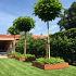 ECCOborders Betotop Special 60x200 Cor-ten