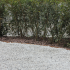 ECCOborders Easyfix recht 100 Corten