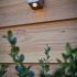 Cubid Rose Silver-12v/0,5w