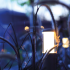 Liv Low Rose Silver-12v/2w