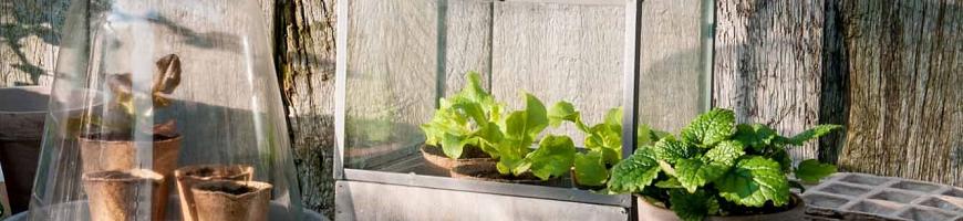 Moestuin, bloem- en plantbenodigdheden