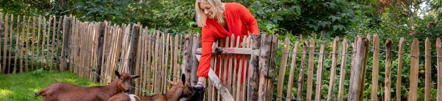 Natuurlijke erfafscheiding